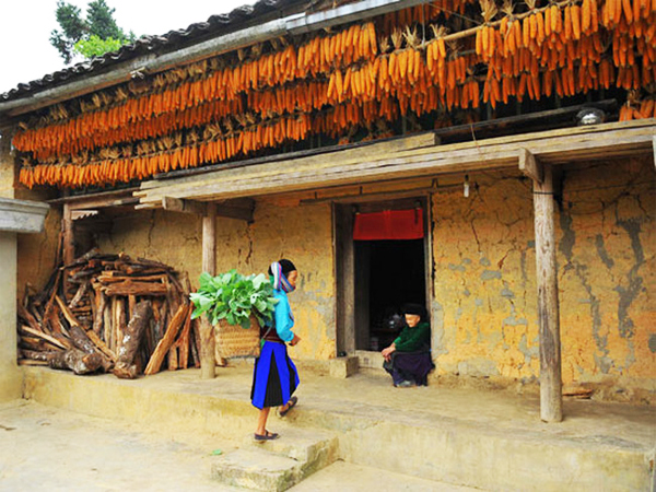Độc đáo nhà trình tường của đồng bào Mông