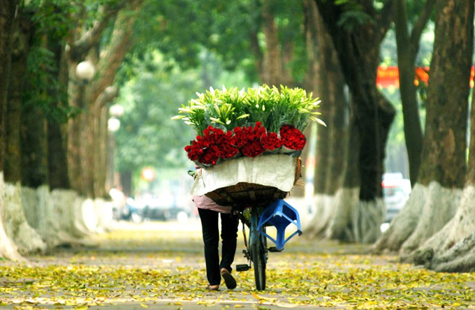 Hà Nội 12 mùa hoa